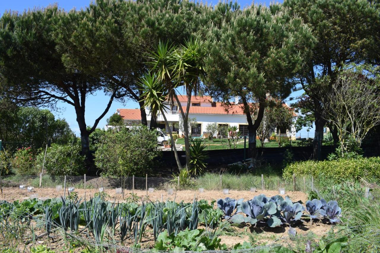 Casa Jardim Peniche Bed & Breakfast São Bernardino Екстериор снимка